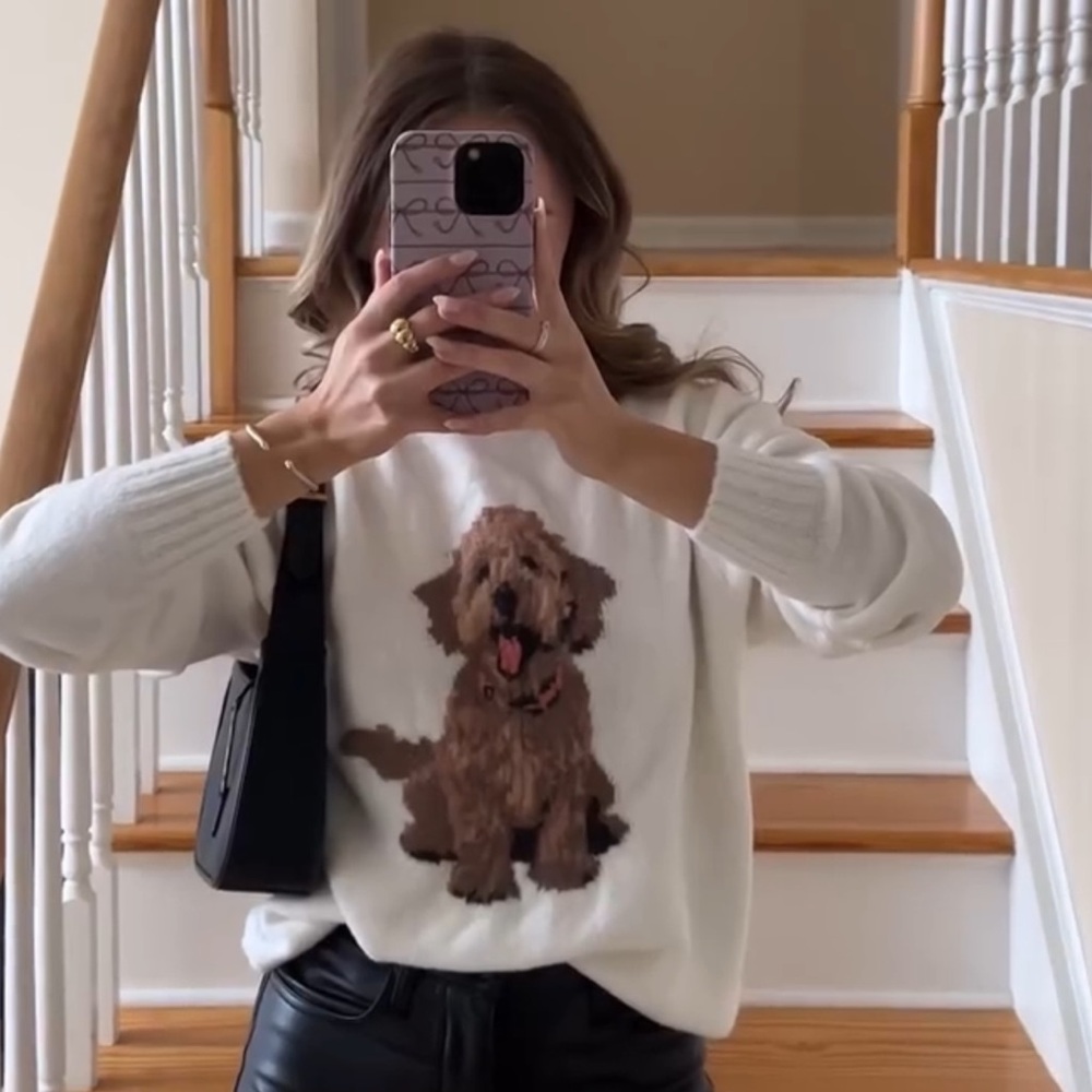 Hollister goldendoodle sweater